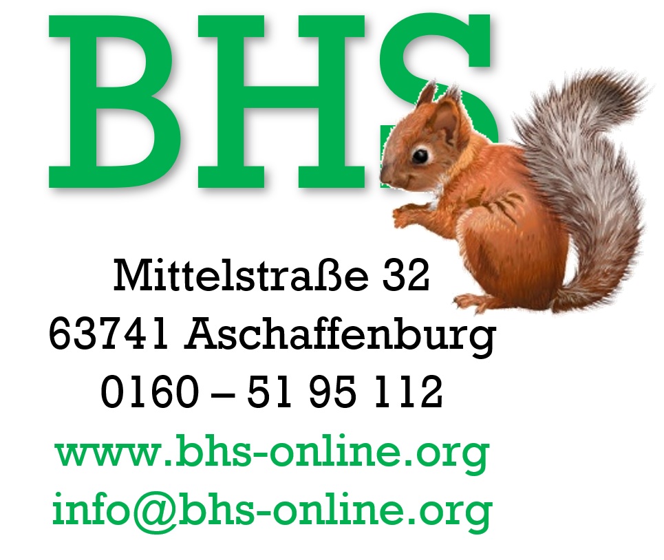 Logo von BHS mit Daten